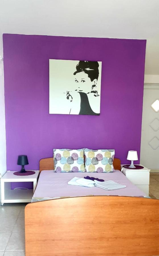 Arts Room Jasmina With Sea View Bikers And Pets Are Welcome Starigrad Paklenica Dış mekan fotoğraf