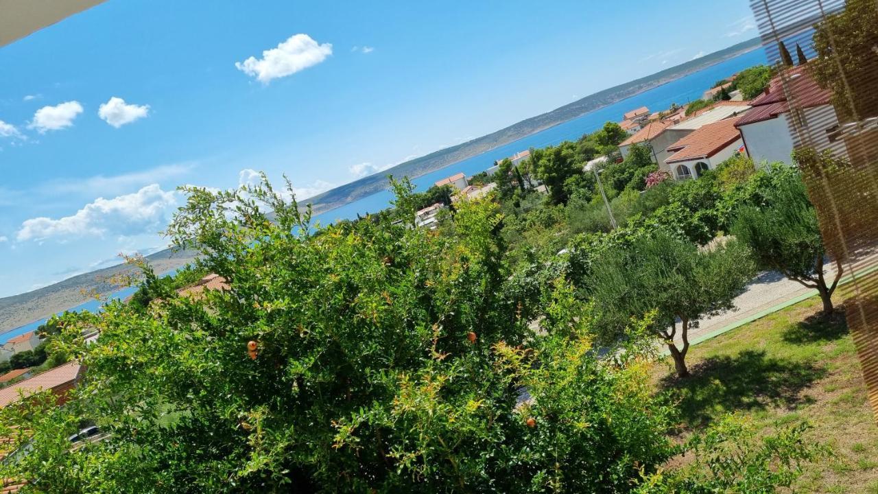 Arts Room Jasmina With Sea View Bikers And Pets Are Welcome Starigrad Paklenica Dış mekan fotoğraf